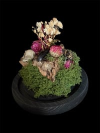 Image 2 of Glasglocke mittelgroß mit Hummel und Käfer