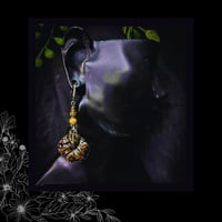 Image 4 of ☽ Alnus Mariscum ☾