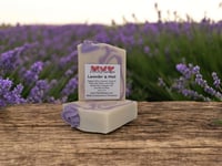Lavender Mint: Goat Milk and Tallow Soap, Handmade Natural Bar, Infused With Organic Oils