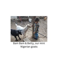 Image 7 of Thoughtful and Practical Mens Gifts - Goat Milk and Tallow Soap for the Dad Who Has Everything
