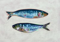 Sardines