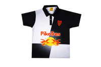 Image 1 of BULL POLO