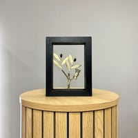 Bronze Olive Tree & Owl 20x15cm