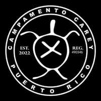 Calcomanía logo Carey 3" (3 opciones)