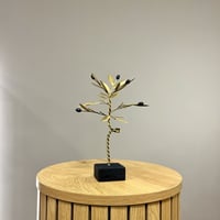 Image 1 of Bronze Olive Tree 24cm