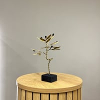 Image 2 of Bronze Olive Tree 24cm