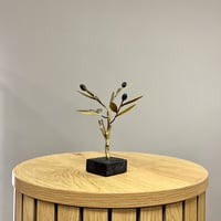 Image 1 of Bronze Olive Tree 17cm
