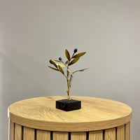 Image 3 of Bronze Olive Tree 17cm