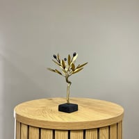 Image 1 of Thin Bronze Olive Tree 17cm