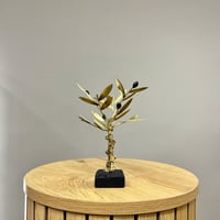 Image 2 of Bronze Olive Tree 19cm
