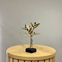 Image 3 of Bronze Olive Tree 19cm