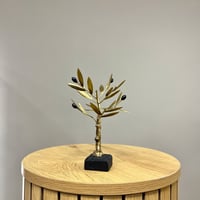 Image 1 of Bronze Olive Tree 19cm