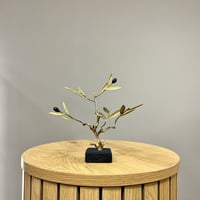 Image 1 of Bronze Olive Tree 18cm