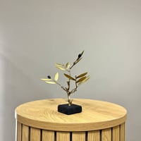 Image 3 of Bronze Olive Tree 18cm