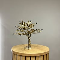 Image 6 of Bronze Olive Tree 27cm