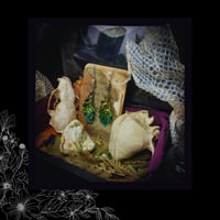 Image 3 of ☽ Quercus Betelgeuse ☾