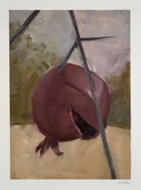 Image 2 of Talking Pomegranate