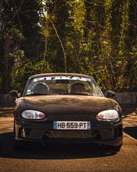 Image 3 of The OG windshield banner