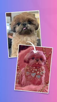 Image 2 of Custom Pet Portrait