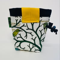 Image 3 of Canary sister