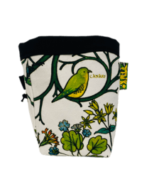 Image 1 of Canary sister