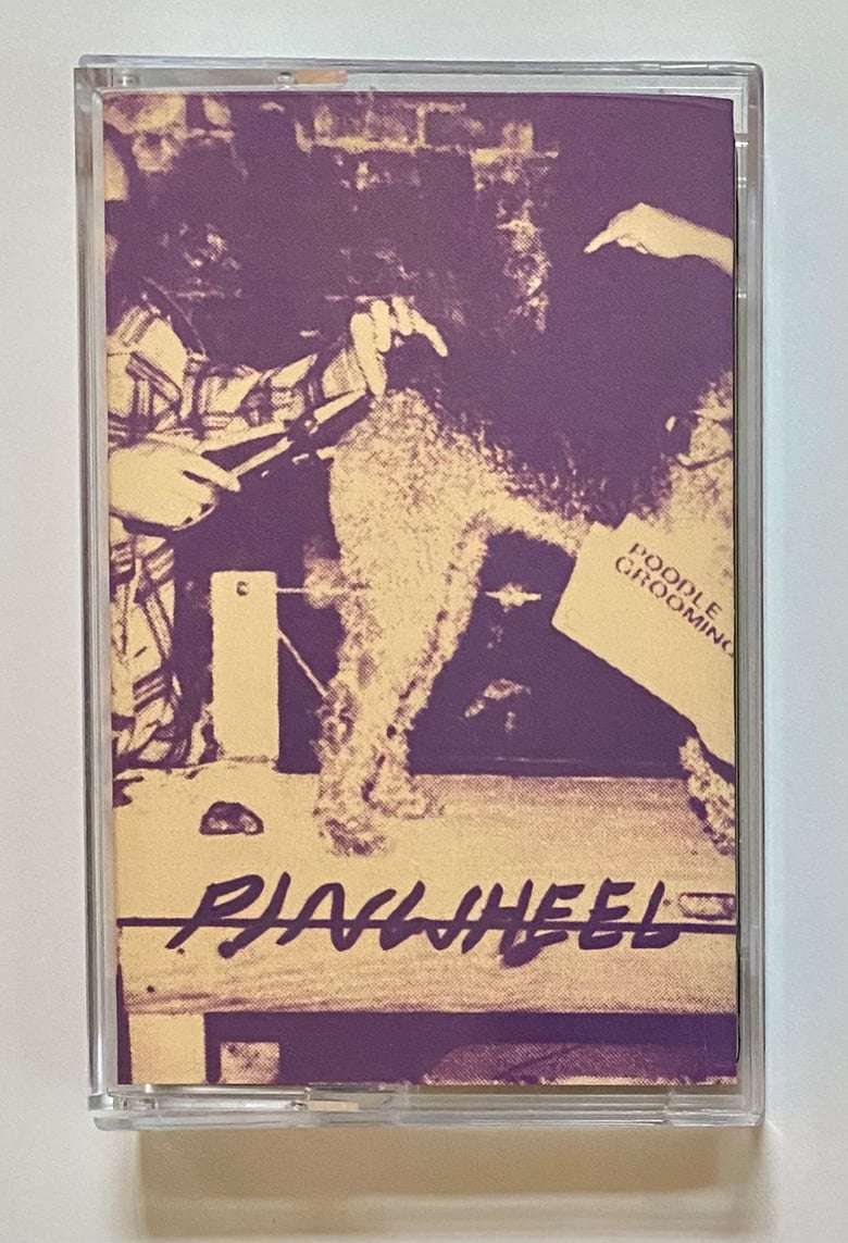 Image of Pinwheel - s/t cs