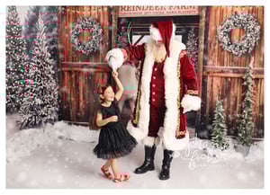 Image of 2025 Santa Sessions