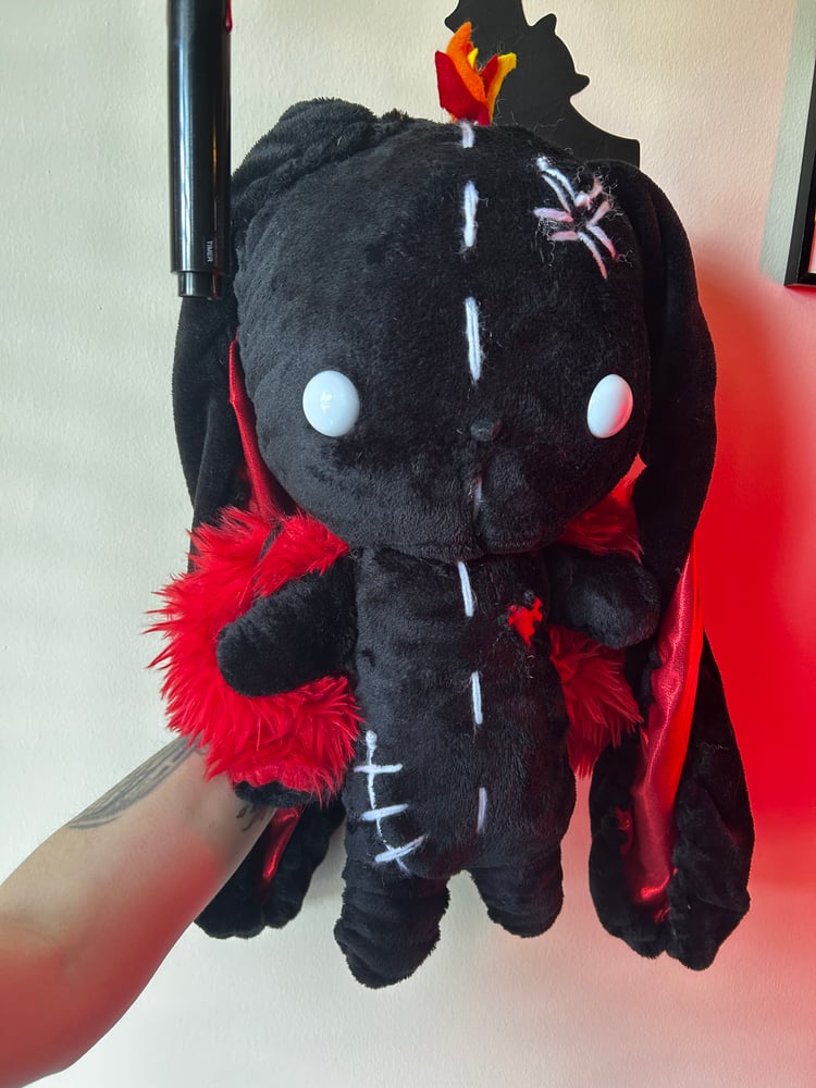 Image of A Gibbie named Dragon