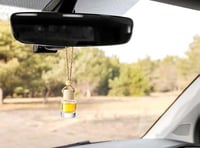 Image 1 of Car Diffuser Air Freshener (Hanging)