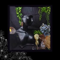 Image 2 of ☽ Castanea Mariscum ☾