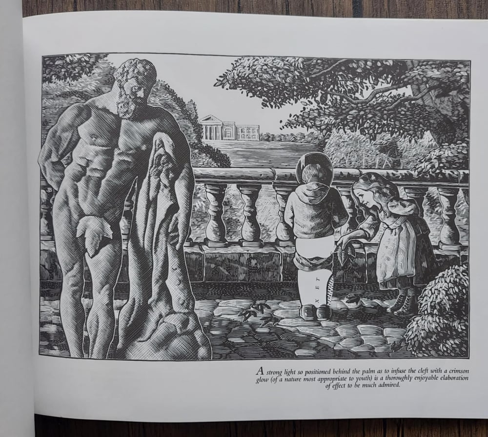 The Naughty Victorian Hand Book: The Rediscovered Art of Erotic Hand Manipulation, by Burton Silver