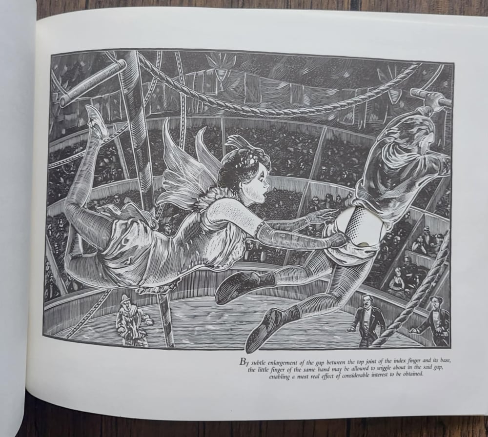The Naughty Victorian Hand Book: The Rediscovered Art of Erotic Hand Manipulation, by Burton Silver