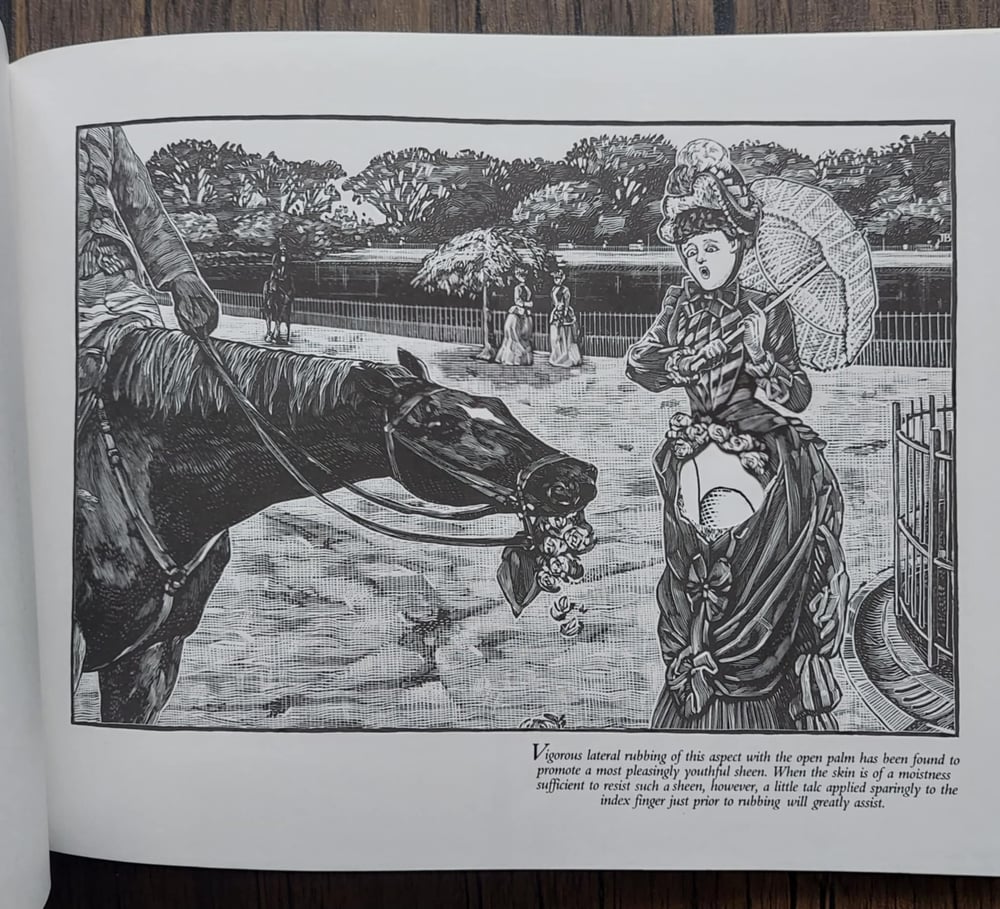 The Naughty Victorian Hand Book: The Rediscovered Art of Erotic Hand Manipulation, by Burton Silver