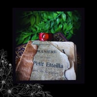 Image 2 of ☽ Penna Carnelia ☾