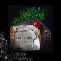 Image 4 of ☽ Penna Carnelia ☾