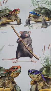 Image 3 of Ninjus Turtlus - Fine art print