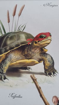 Image 5 of Ninjus Turtlus - Fine art print