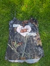SOFT HEARTED DARK CAMO MINI DRESS