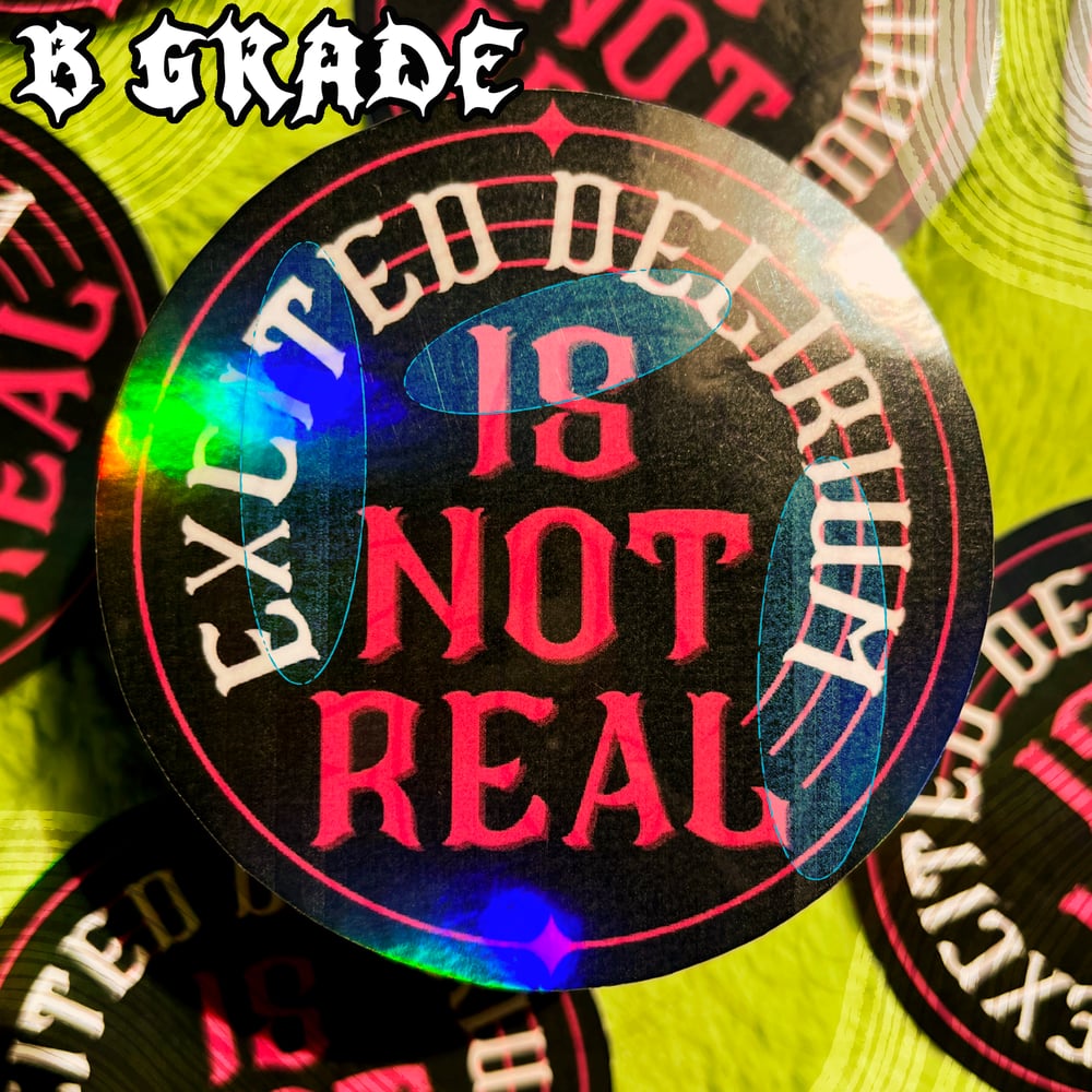 ✦ Excited Delirium isn’t Real ✦ Sticker ✦