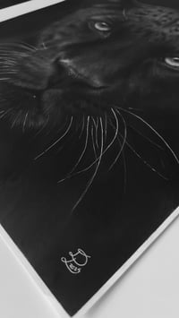 Image 2 of Original art “Midnight Majesty”