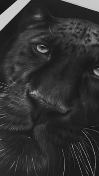 Image 4 of Original art “Midnight Majesty”
