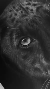 Image 5 of Original art “Midnight Majesty”