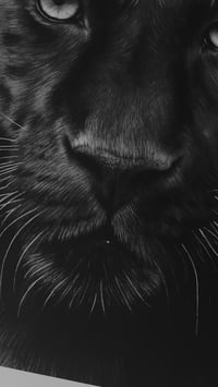 Image 3 of “Midnight Majesty” giclee print 