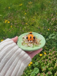 Image 4 of Cheeto tiger trinket dish