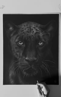 Image 6 of Original art “Midnight Majesty”