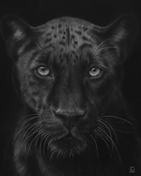 Image 1 of Original art “Midnight Majesty”