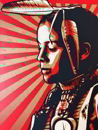 Image 4 of Shepard Fairey LIMITED EDITION "The Black Hills Are Not for Sale" Silkscreen