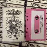 AMEROL - Demo CS