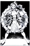 NEW ROGUE 11" x 17"  PIN-UP!