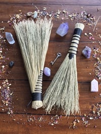 Functional Whisk Broom